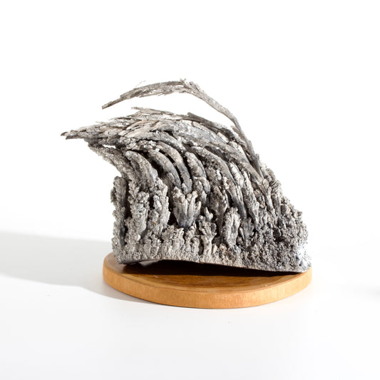 Magnesium Wave Specimen