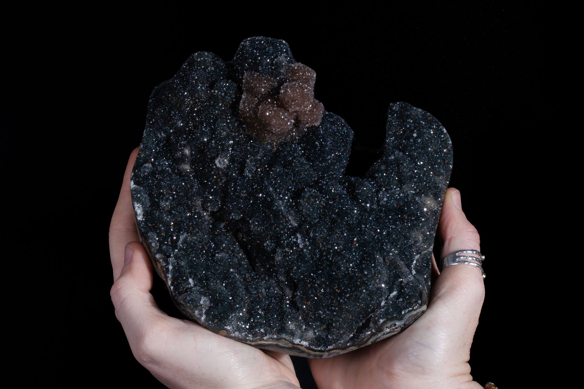 Specimens – The RoxBox